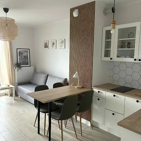 W Szczecinie Przy Stoczni Appartamento Stettino